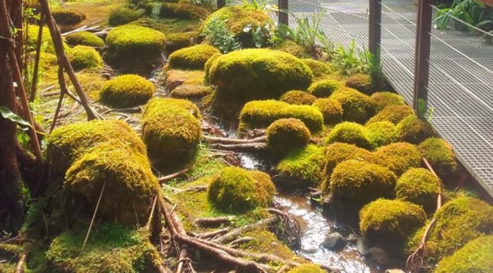 CONICET_JAVIERMORENO-720x400