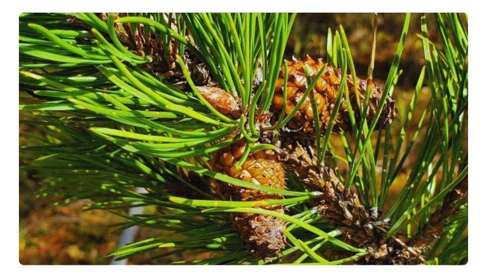 WhatsApp Image 2025-11-14 at 09.34.35